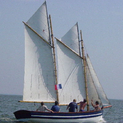 loup de  mer 3