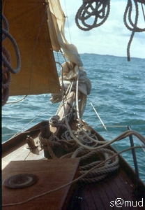 pf22