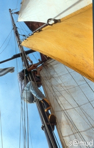 pf6